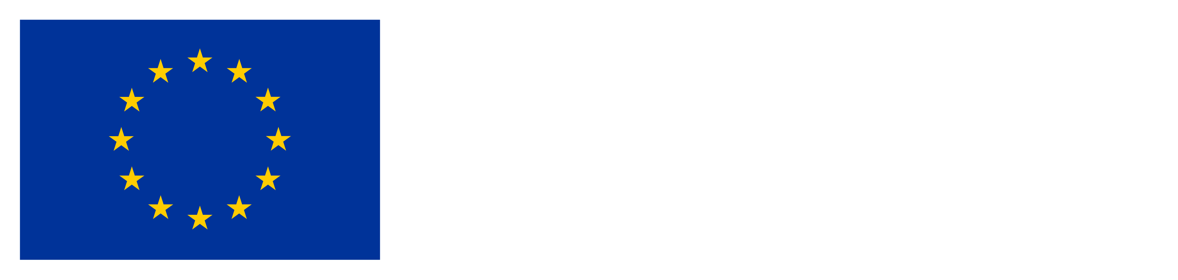 Euroopan unionin osarahoittama - Co-funded by the European Union